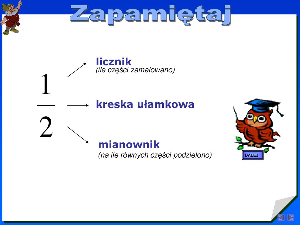 Ma Licznik I Mianownik Krzyżówka