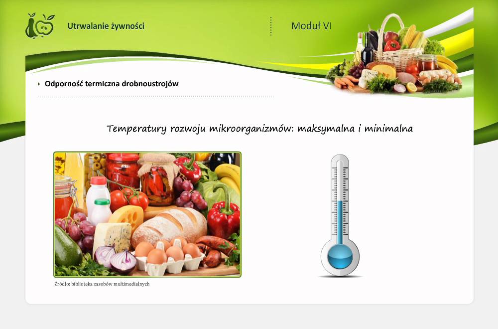 Temperatura niszczenia bakterii w żywności. - YouTube Czy Salmonella Ginie W Wysokiej Temperaturze