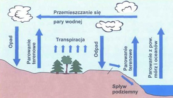 Termodynamika: Parowanie W Jakiej Temperaturze Zachodzi Parowanie