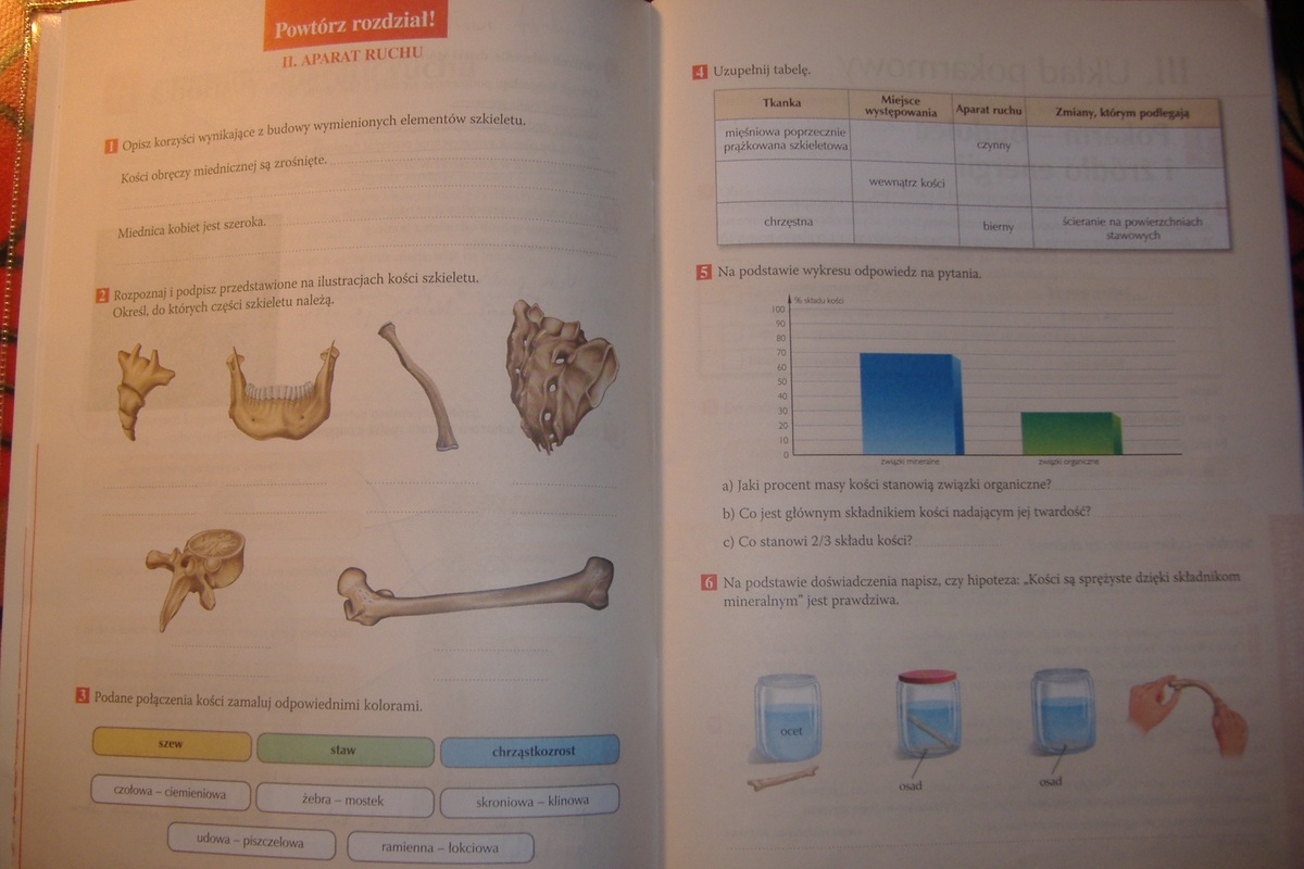 Test Biologia Klasa 7 Aparat Ruchu - question Aparat Ruchu Nowa Era Test