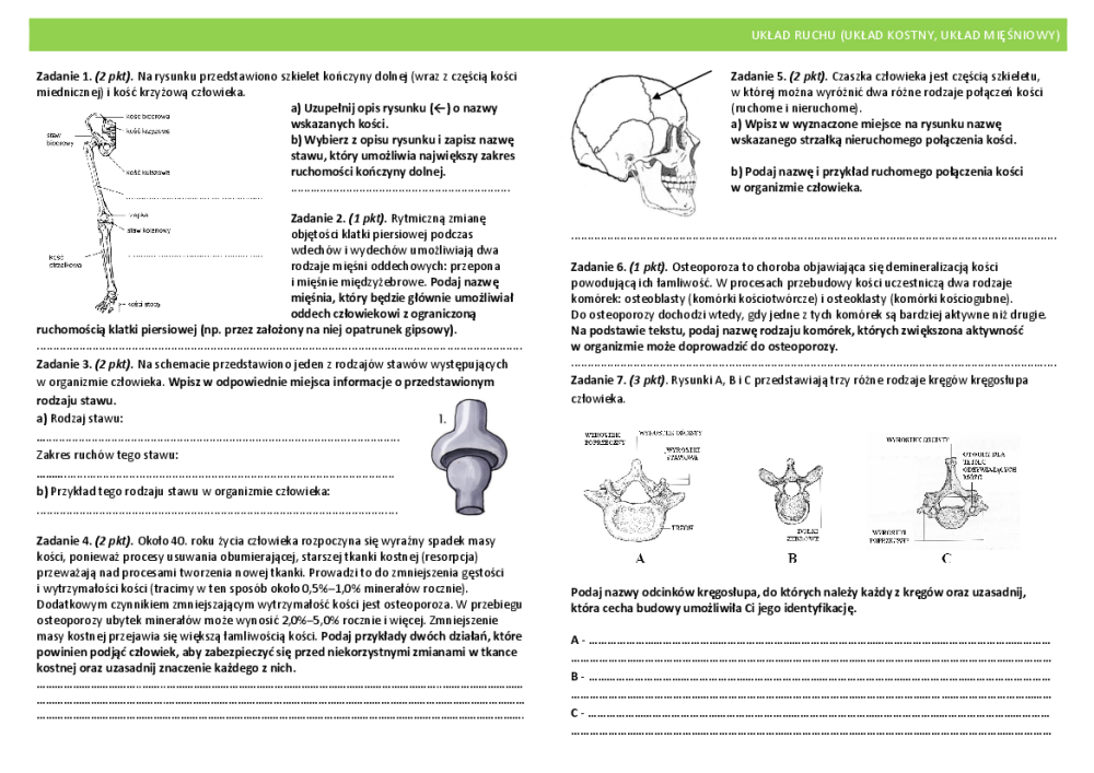 Test Biologia Klasa 7 Aparat Ruchu - question Test Biologia Klasa 7 Dzial 7