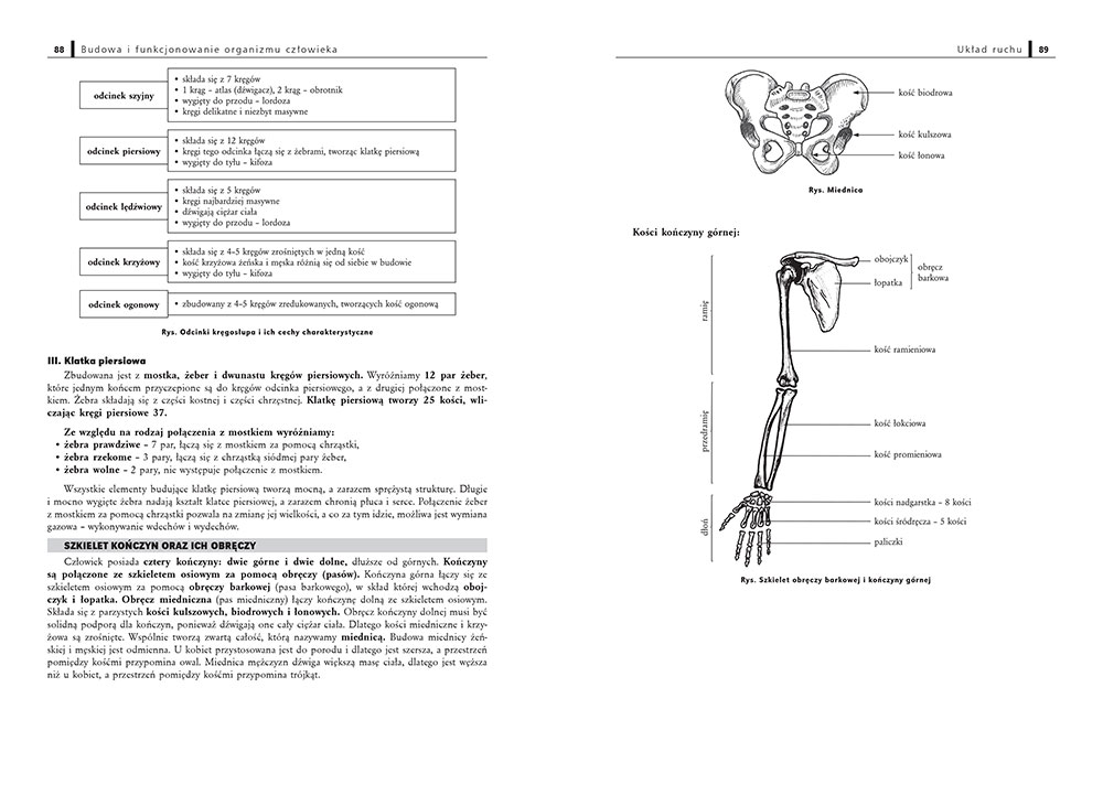Test Biologia Klasa 7 Aparat Ruchu - question Biologia Sprawdzian Klasa 7 Dział 2