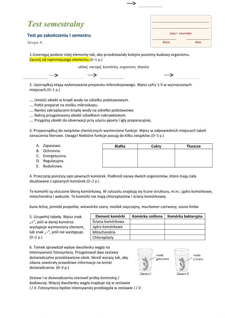 Test semestralny-biologia kl.5 worksheet | School subjects, Google Sprawdzian Biologia Klasa 5