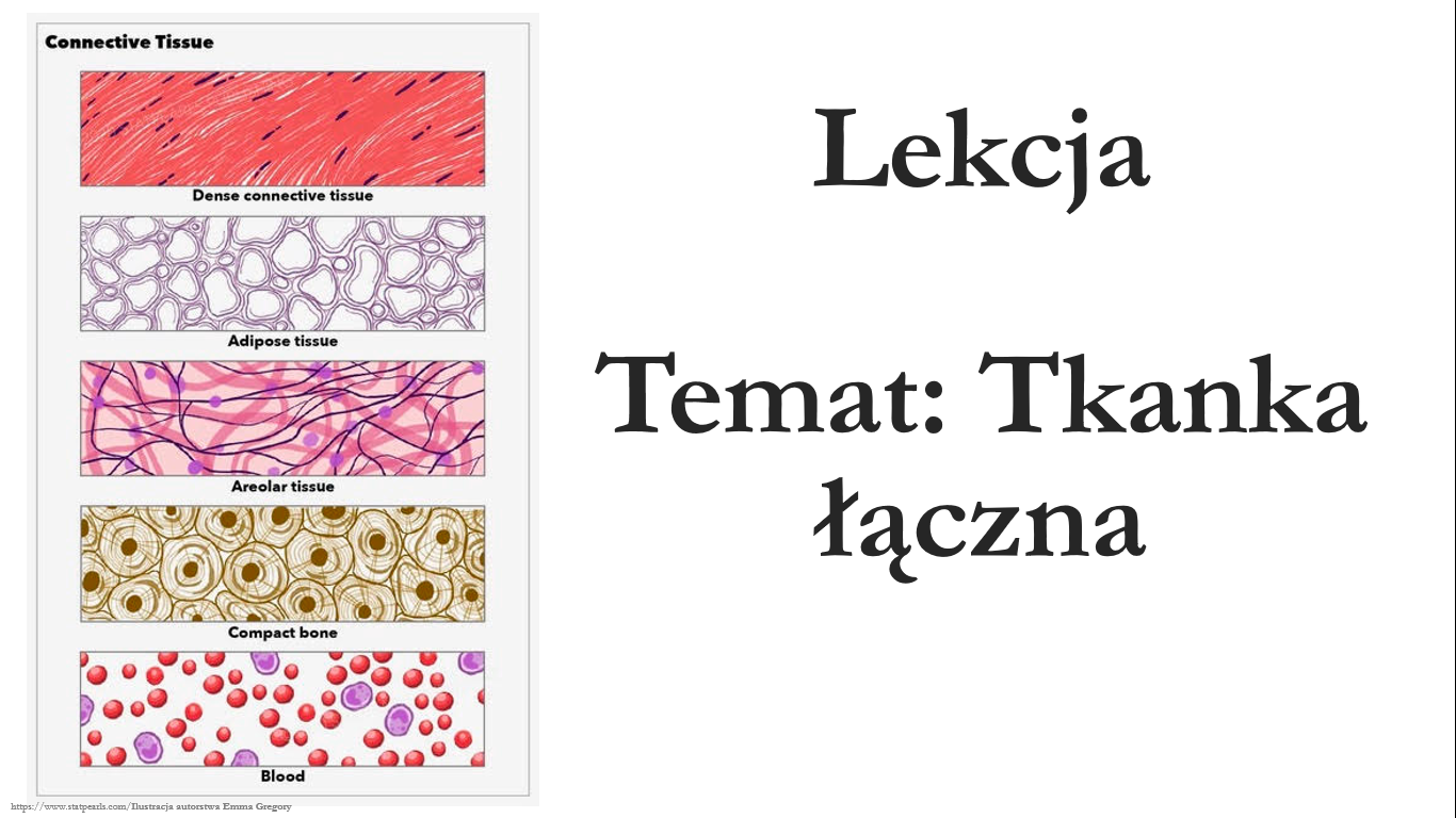 Test Biologia Klasa 6 Tkanki