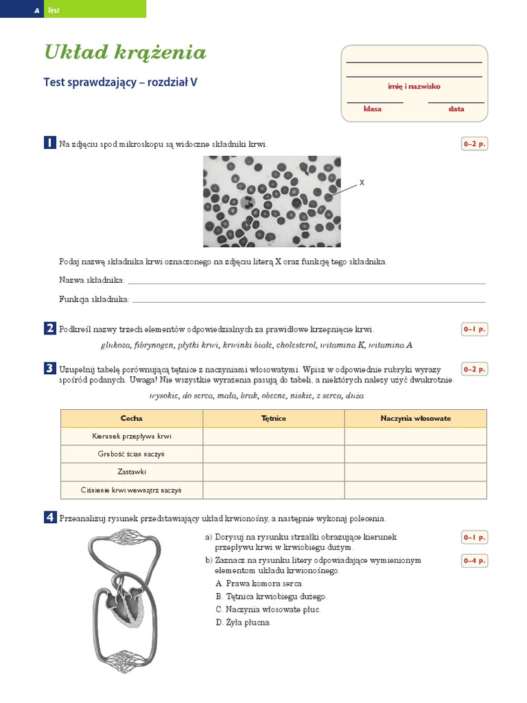 Uklad Krazenia Test Klasa 7