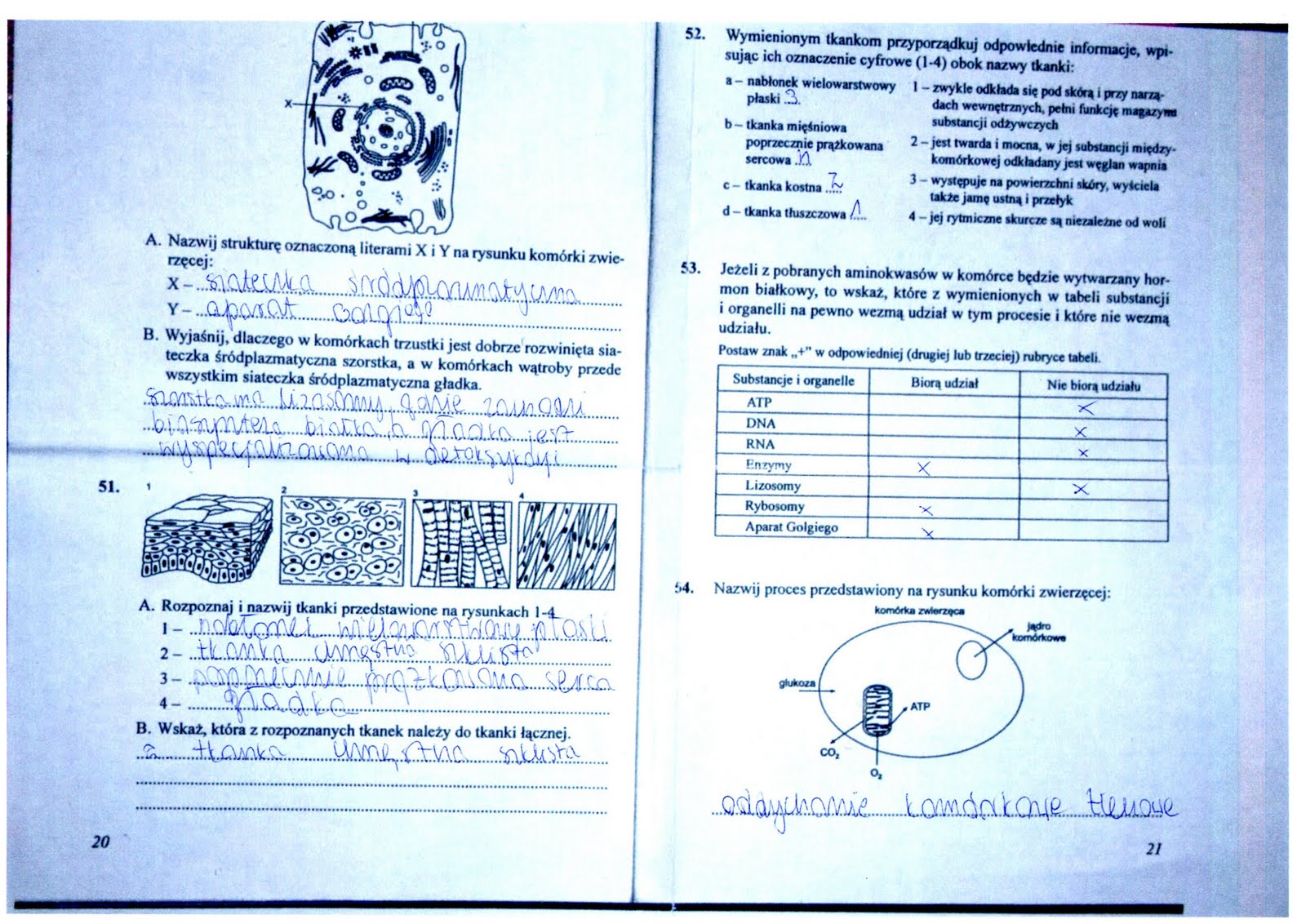 Test Z Biologii Klasa 7 - Margaret Wiegel Test Z Biologii Klasa 7