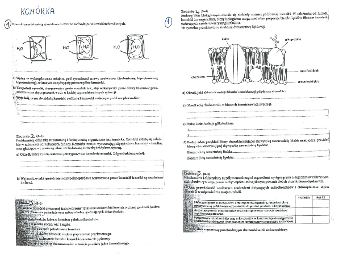 Biologia Klasa 5 Testy Online