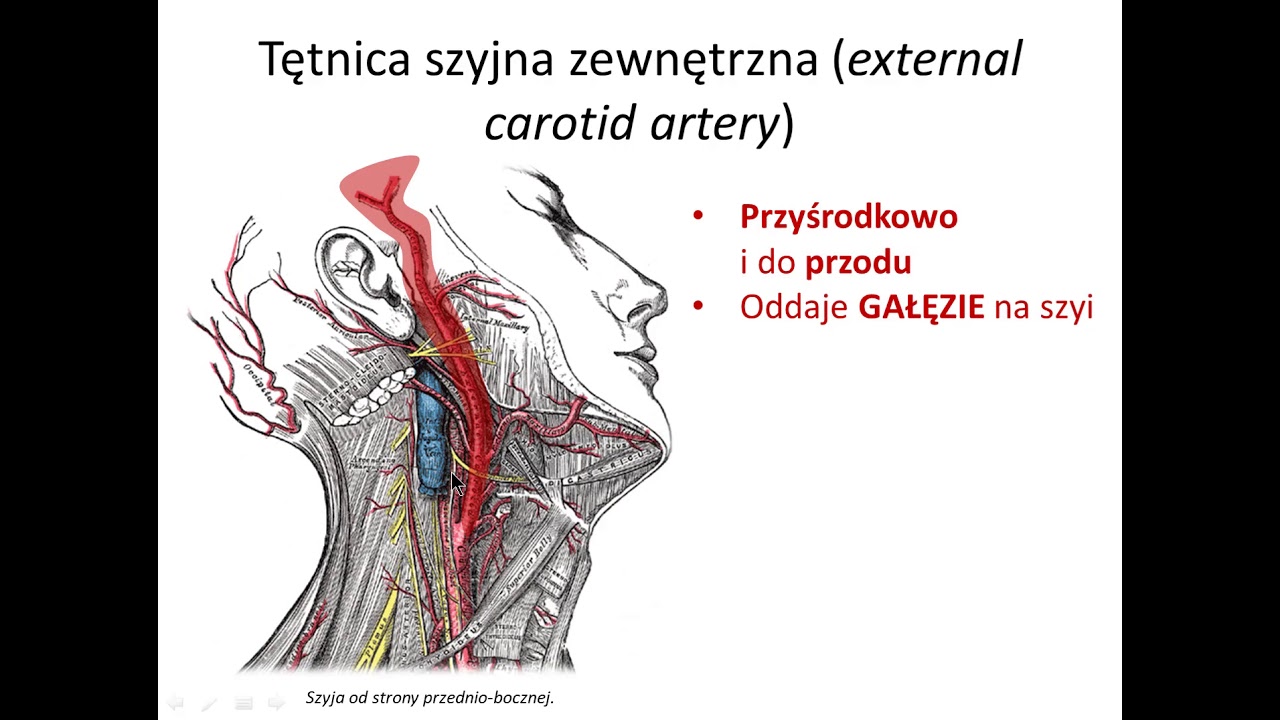Stolica I Port Nad Zatoką Fińską