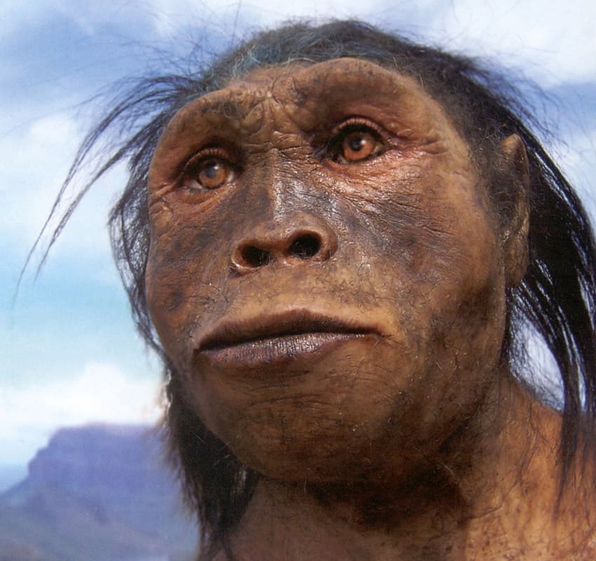Homo Sum Humani Nihil A Me Alienum Puto