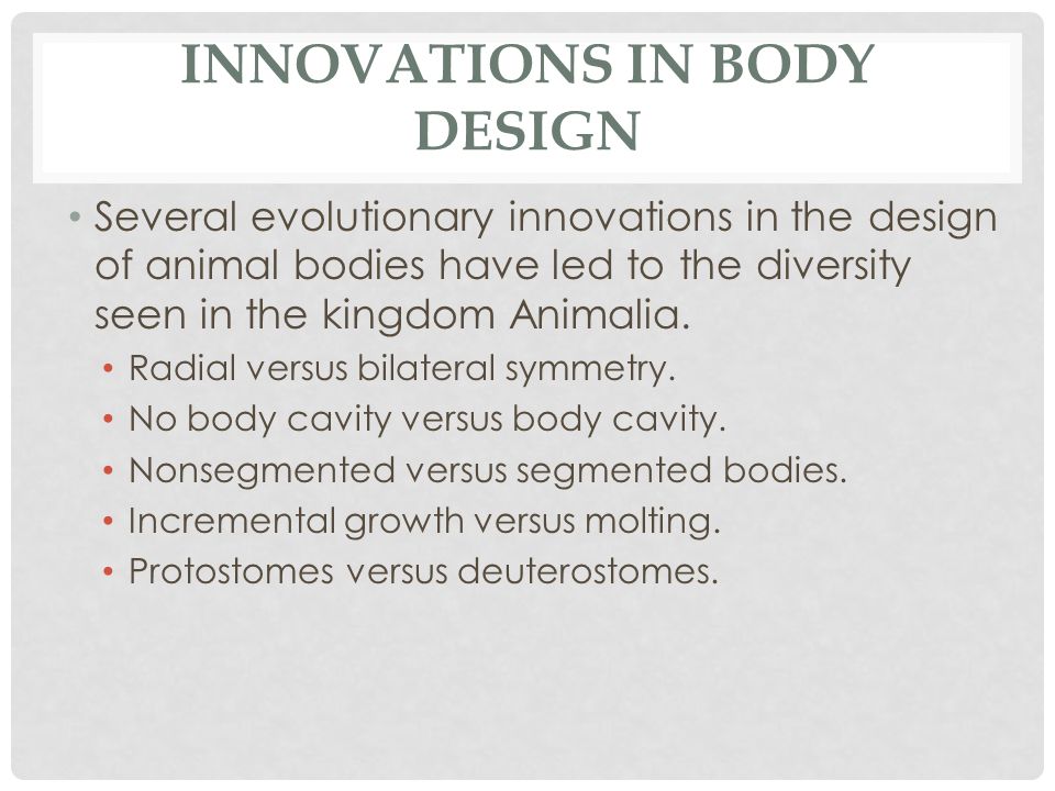 Non Segmentation Allows For Evolutionary Innovation In Body Form