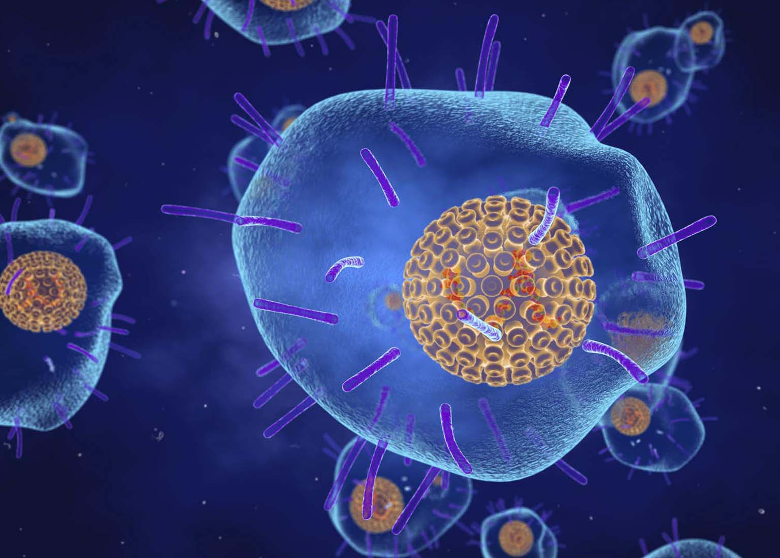 Who Discovered The Varicella Zoster Virus