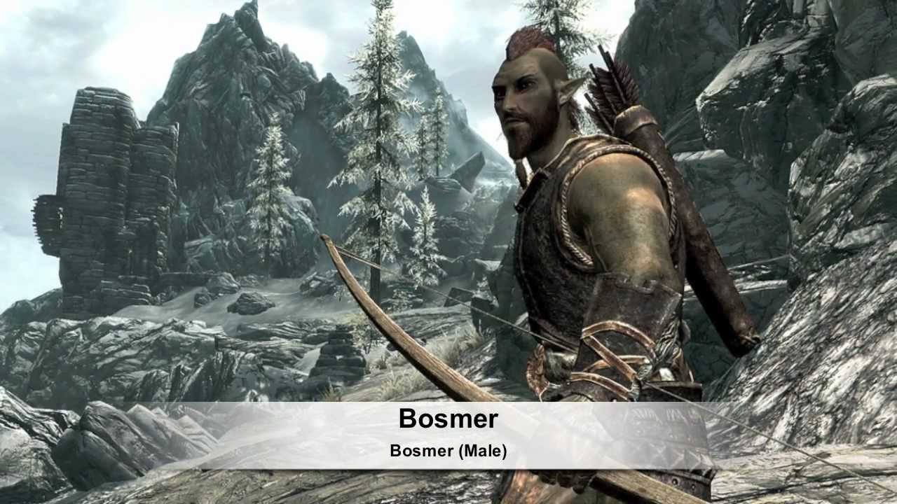 The Elder Scrolls V Skyrim Rasy