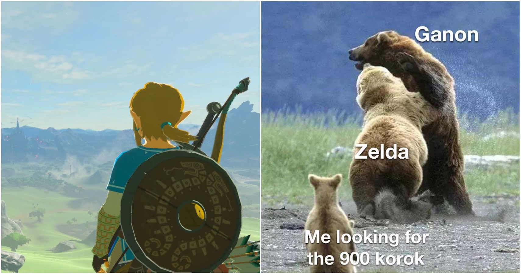 Legend Of Zelda Breath Of The Wild Memes