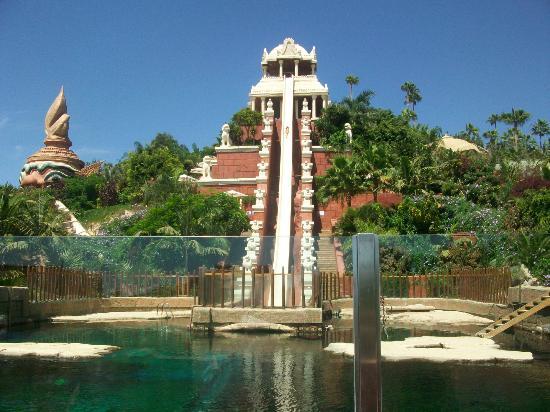 the most scariest slide ever...Tower of Power - Picture of Siam Park Tower Of Power Siam Park Death