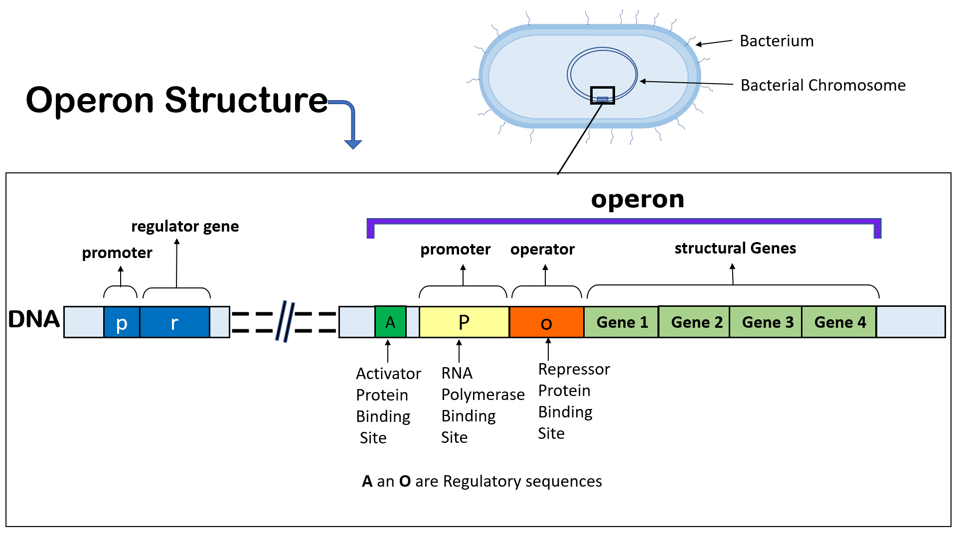 Chemia 2 Operon Zbiór Zadań Odpowiedzi