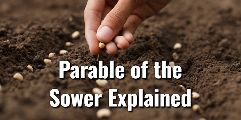 Parable Of The Sower Chapter 14 Summary