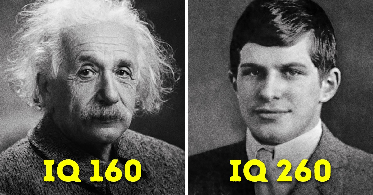 The Story of the Smartest Man Who Ever Lived and Why You Haven’t Heard Most Iq Person In The World