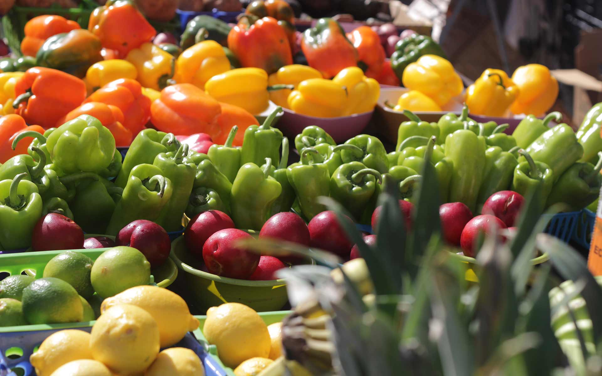 Third Street South Farmer's Market Resumes its Seasonal Street Location Slynna Na Wall Street Krzyzowka