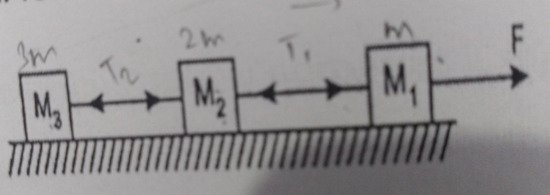 Three blocks of mass M1=m, M2=2m, M3=3m connected by two strings are Trzy Klocki O Masach M1 M2 M3
