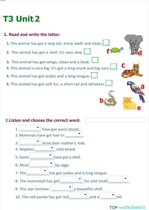 Tiger Friends 3 Unit 2 Test