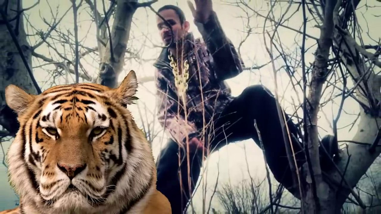 TIGER BONZO Pluję Na Was Totalnie OFFICIAL VIDEO - YouTube Tiger Bonzo Pluje Na Was Totalnie