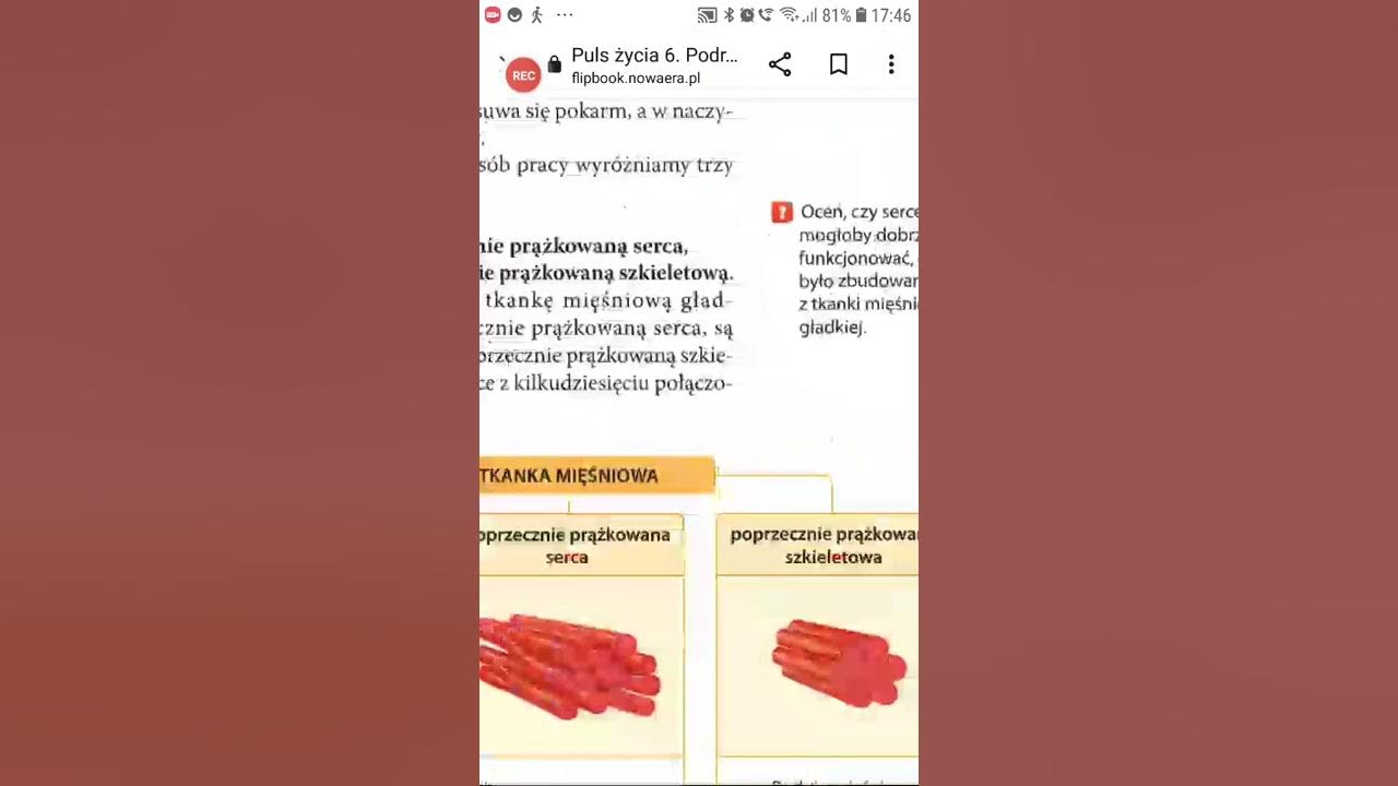 Budowa I Funkcje Tkanki Nabłonkowej