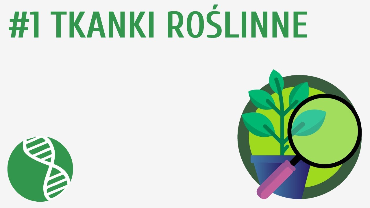 Tkanki Roślinne Klasa 5 Pdf