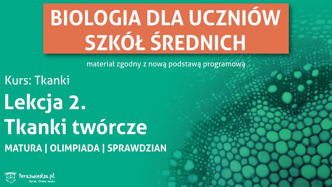 Zrozumieć Przeszłość 1 Zakres Rozszerzony Pdf