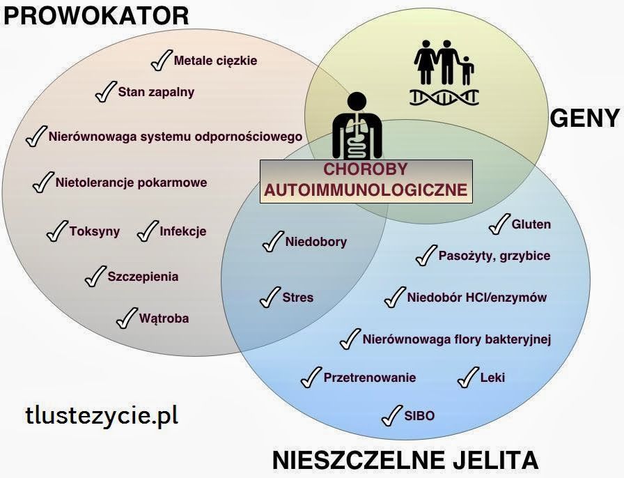 Czy Alergia To Choroba Autoimmunologiczna
