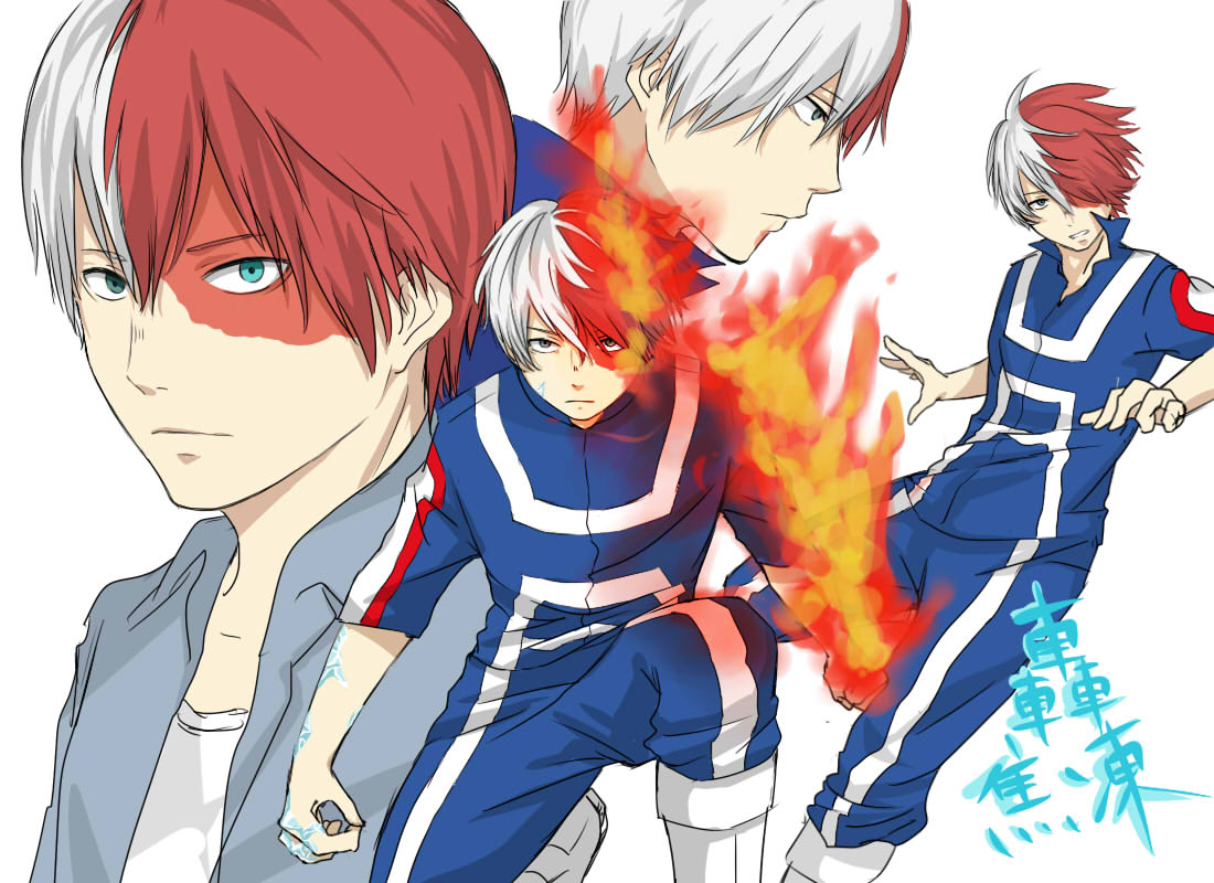 Boku No Hero Academia Todoroki Manga