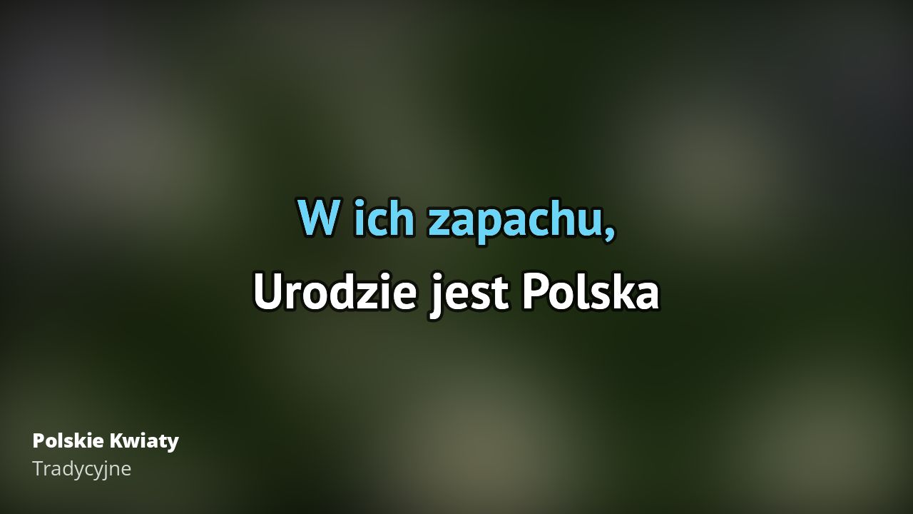 Tradycyjne – Polskie Kwiaty | Tekst piosenki, tłumaczenie, tekstowo i Polskie Kwiaty Autor Tekstu Piosenki
