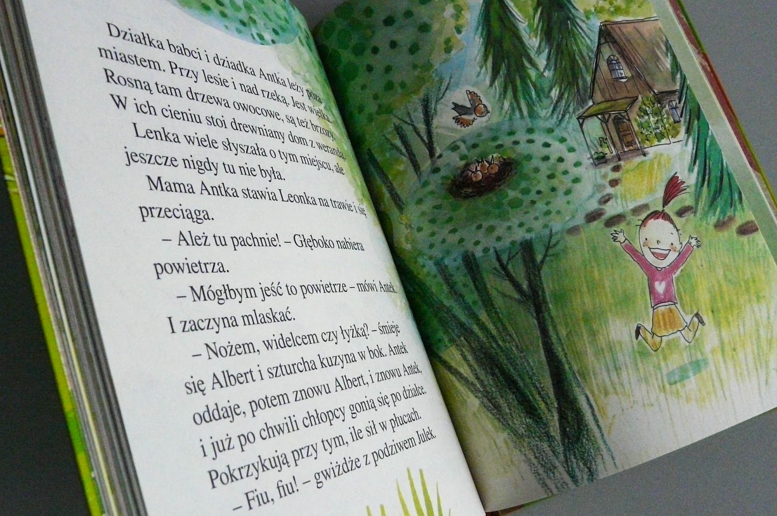 Twoje dziecko właśnie nauczyło się czytać? Oto najlepsze pierwsze Ksiazki Do Czytania Dla Dzieci