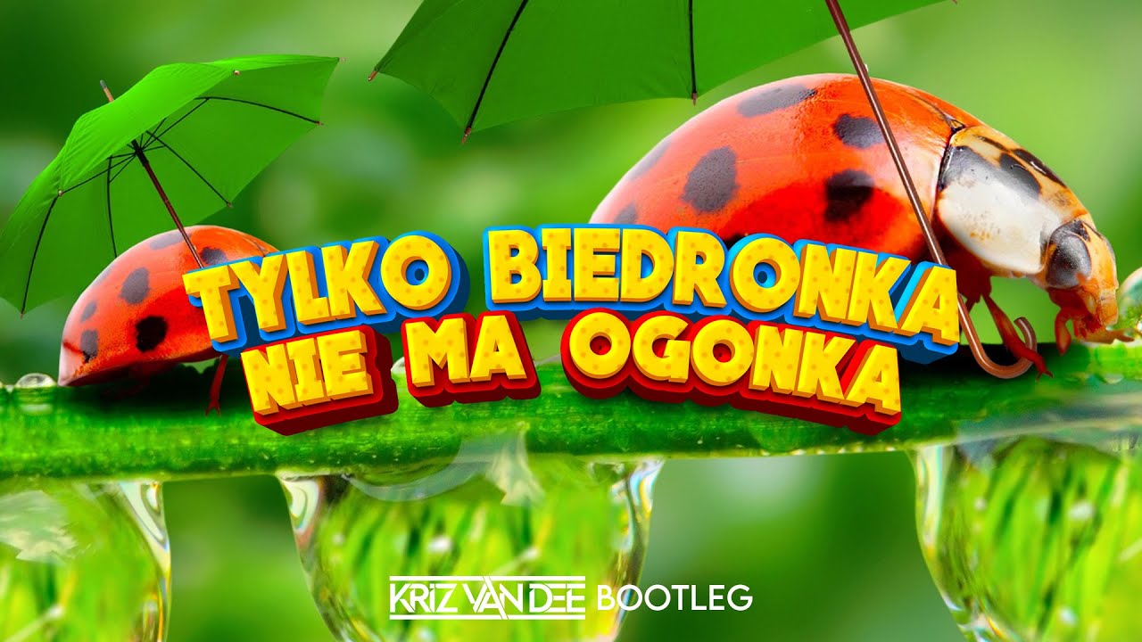 Tylko Biedronka Nie Ma Ogonka (KriZ Van Dee Bootleg) 🐞 - YouTube Music Tylko Biedronka Nie Ma Ogonka Tekst