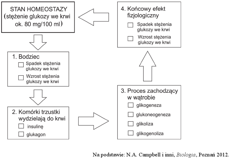 Układ hormonalny | BiologHelp Układ Hormonalny Sprawdzian Biologia Na Czasie 2