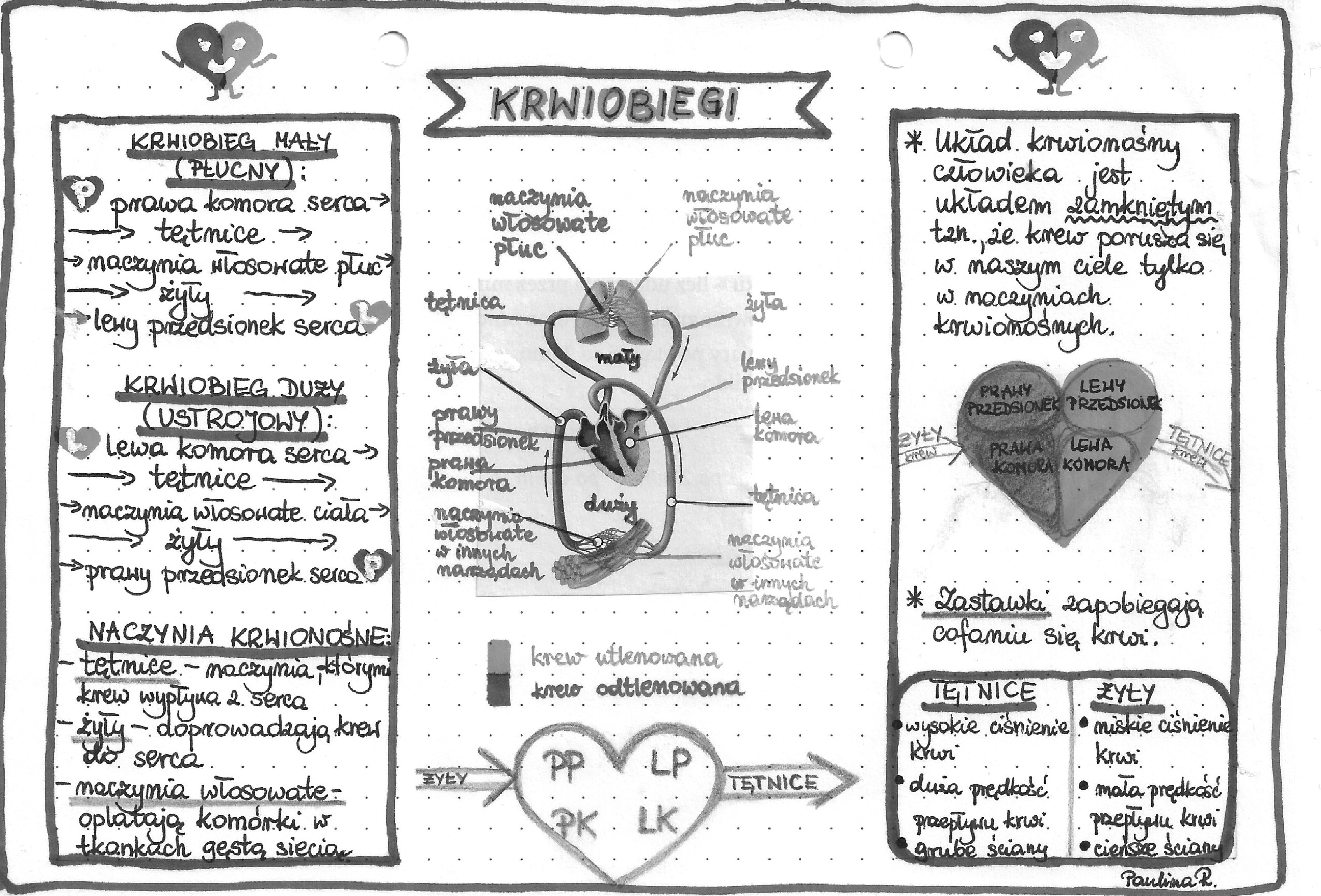 Uklad Krazenia Sprawdzian Klasa 7 Pdf Nowa Era