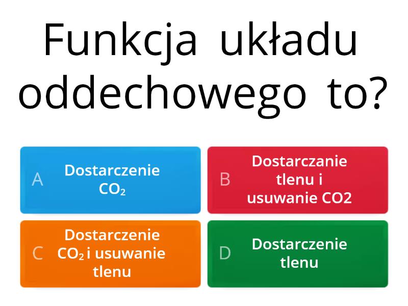 Układ Oddechowy Sprawdzian Klasa 7