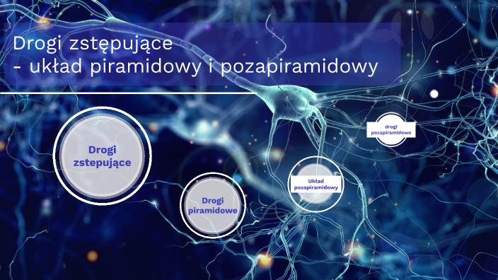 Układ Piramidowy I Pozapiramidowy Pdf