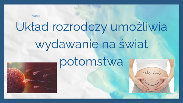 Układ rozrodczy klasa 4 Uklad Rozrodzy Klasa 4