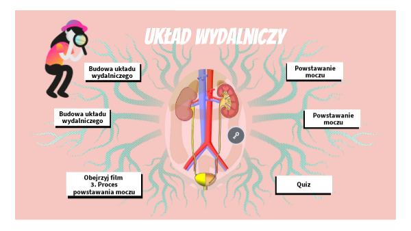 Puls życia 2 Układ Wydalniczy Sprawdzian