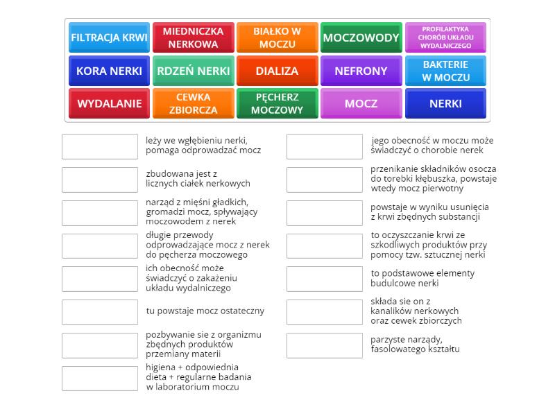 UKŁAD WYDALNICZY_BIOLOGIA KLASA 7 - Une las parejas Biologia Klasa 7 Uklad Wydalniczy Sprawdzian