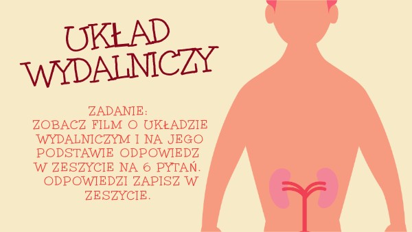 Układ wydalniczy podsumowanie klasa 7 | Genially Uklad Wydalniczy Klasa 7 Test