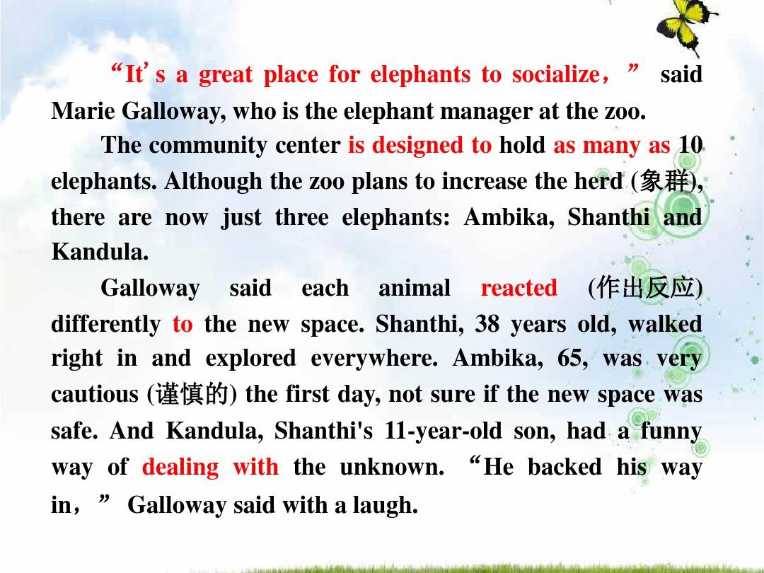 高中英语人教版必修二课件:Unit+4+Wildlife+Protection+Section+Ⅰ+Warming+Up+&+Reading English Class Klasa 4 Test Unit 2