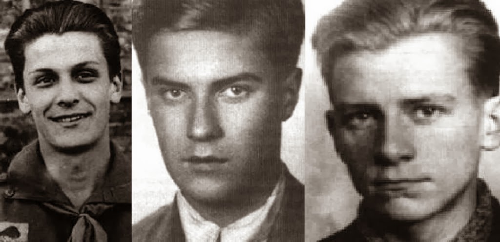 Wygląd Alka Z Kamieni Na Szaniec