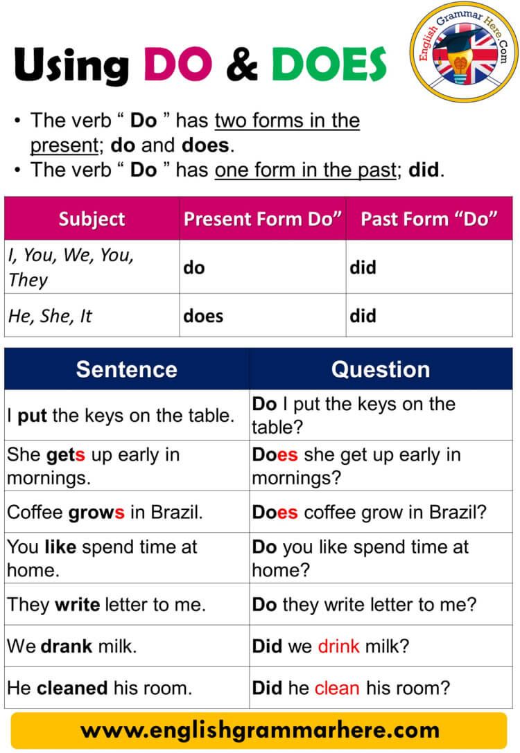 Using Do and Does, Definition and Example Sentences USING DO AND DOES Do Której Jeździ Metro W Wiedniu