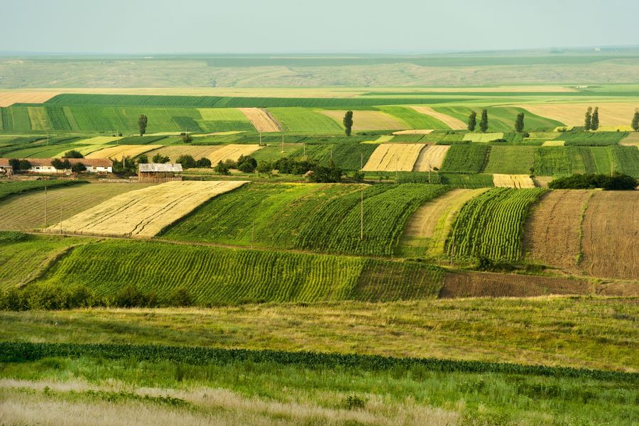 Ustawa o ochronie gruntów rolnych i leśnych - zmiany - eGospodarka.pl Ustawa O Ochronie Gruntw Rolnych I Lesnych