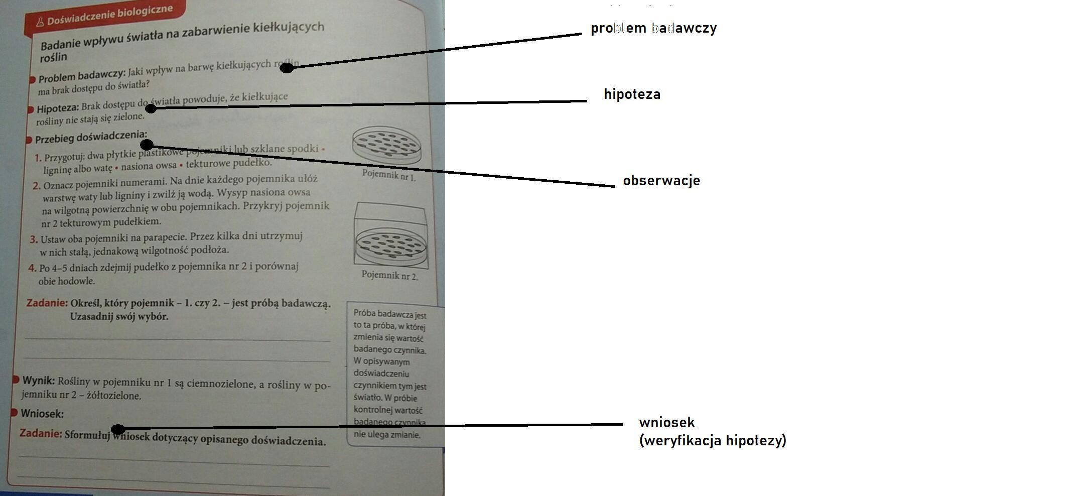 Uszereguj etapy prowadzenia badań naukowych zgodnie z kolejnością ich Uszereguj Chronologicznie Podane Etapy Przeplywu Krwi