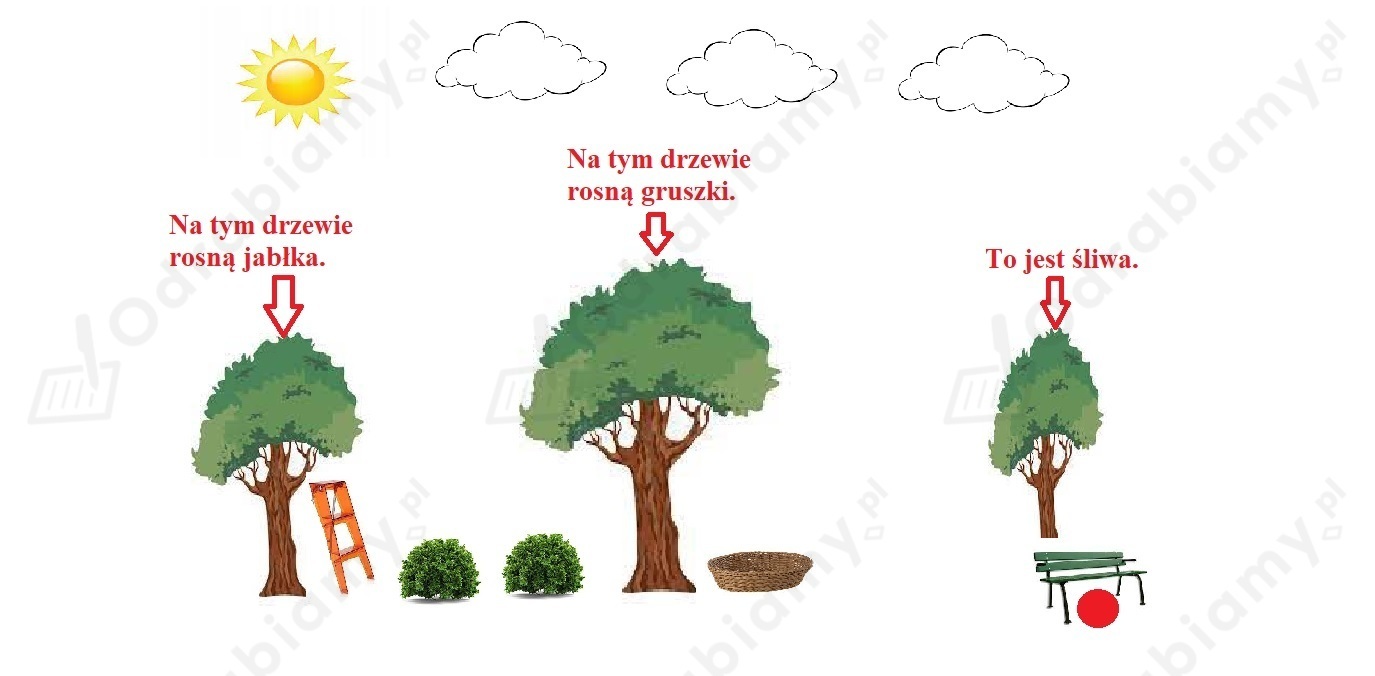 🎓 Uzupełnij rysunek zgodnie z opisem...- Zadanie 1: Oto ja 2. Ćwiczenia Oto Ja ćwiczenia Matematyczno Przyrodnicze Klasa 3 Cz 1 Rozwiązania