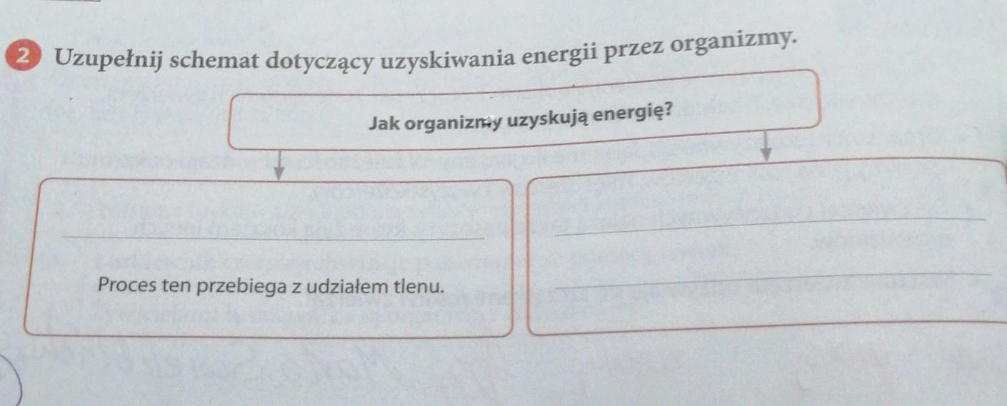 Uzupełnij schemat dotyczący uzyskiwania energii przez organizmy Jak Jak Organizmy Uzyskują Energię
