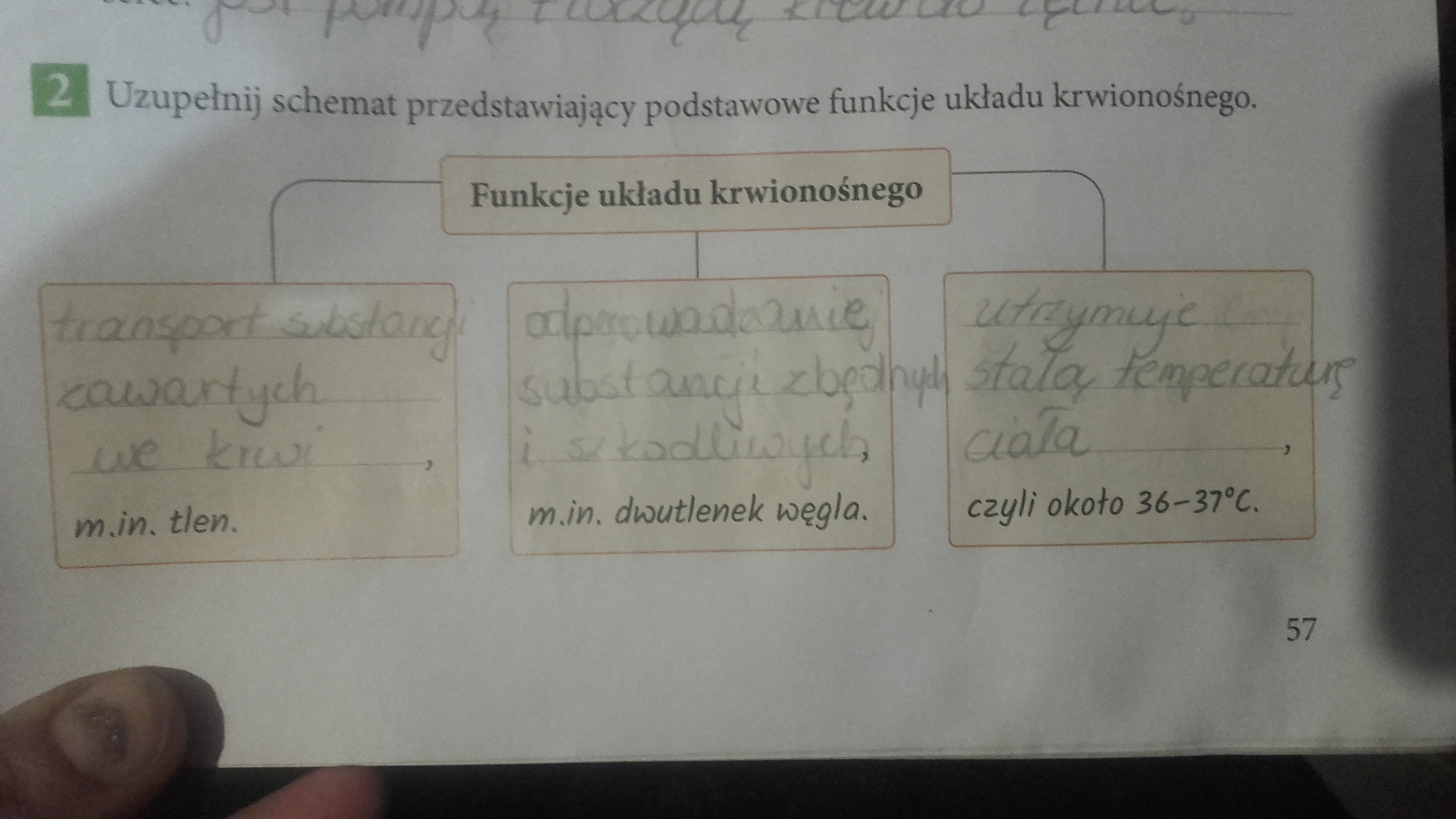 Uzupelnij Schemat Przedstawiajacy Podstawowe Funkcje Ukladu Krwionosnego Przyroda