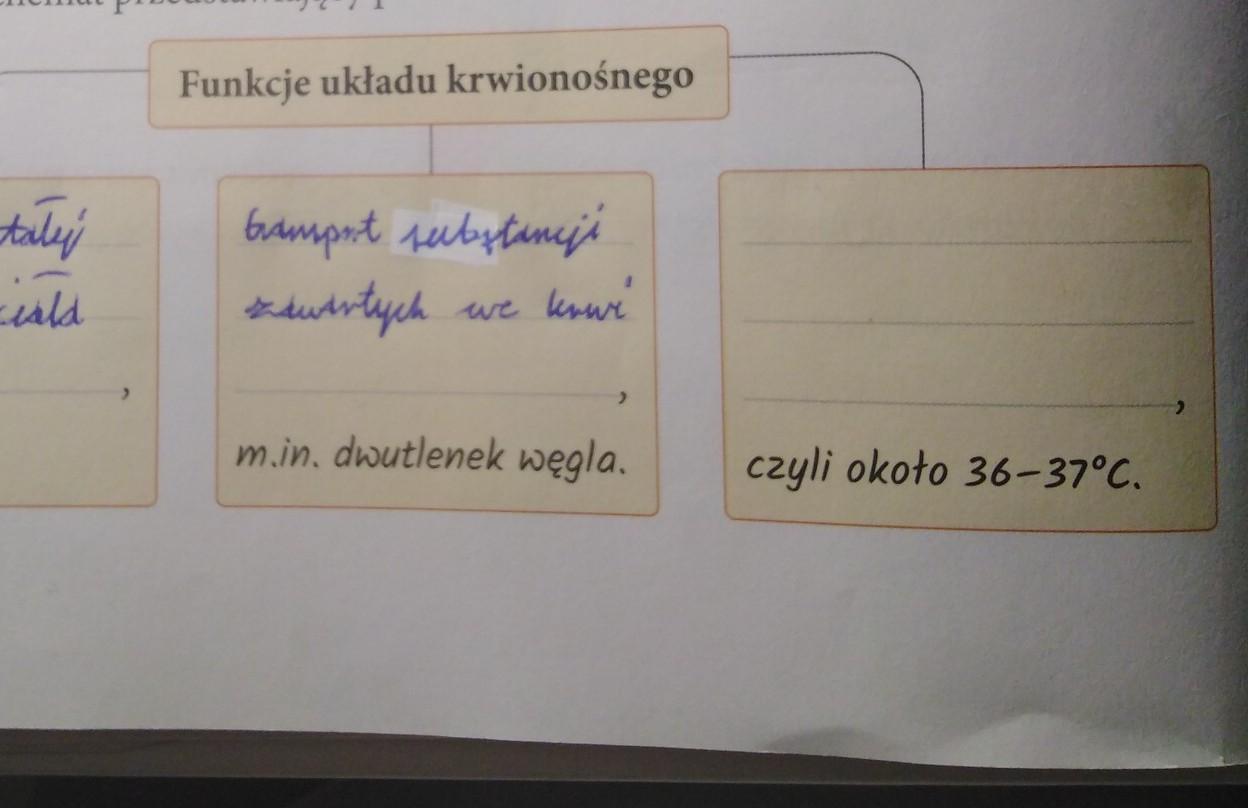uzupełnij schemat przedstawiający podstawowe funkcje układu Uzupelnij Schemat Przedstawiajacy Podstawowe Funkcje Ukladu Krwionosnego Przyroda